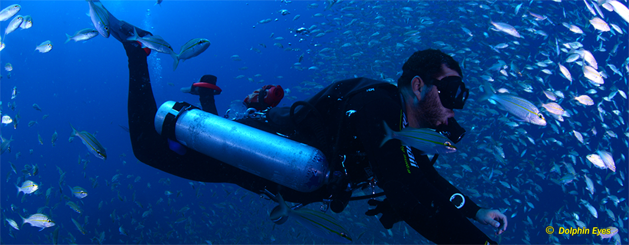 Open Water Sidemount Diver
